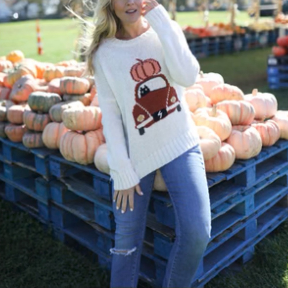 Wooden Ships Pumpkin VW Bug Crew Sweater Graphic Slouchy Relaxed S/M